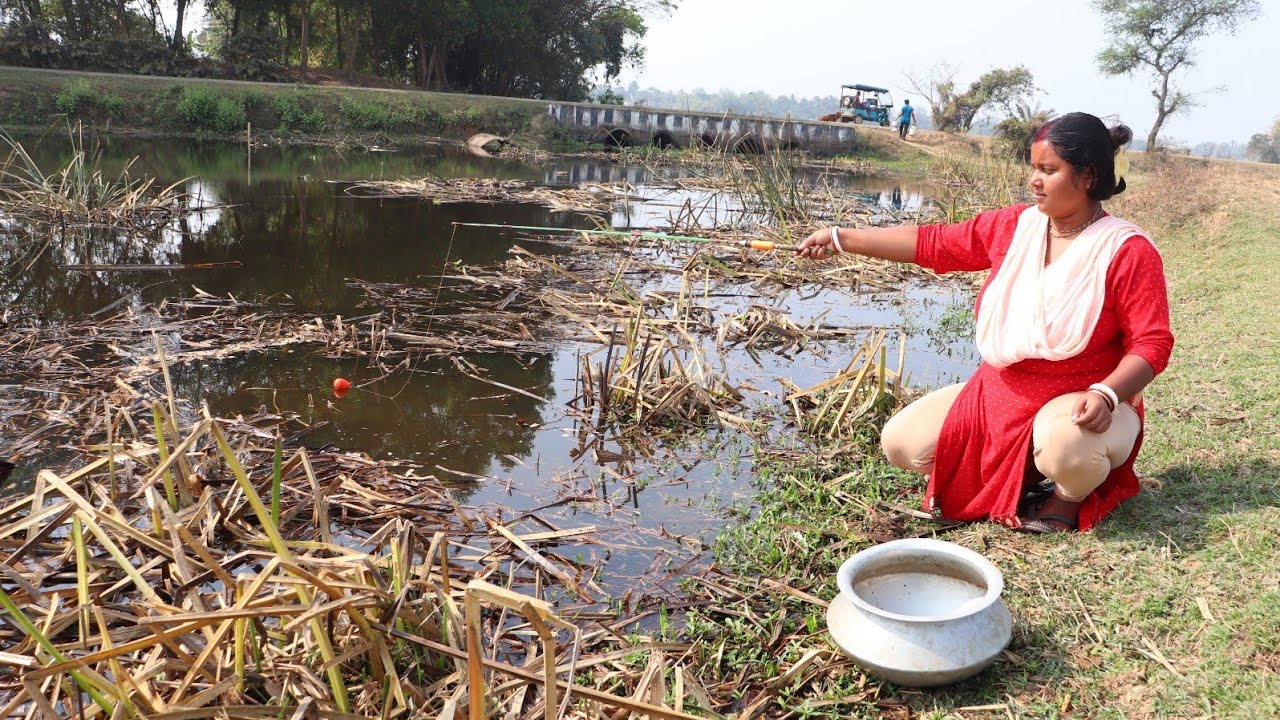 Fish Hunting || The beautiful girl caught fish from the canal using village methods || Hook fishing