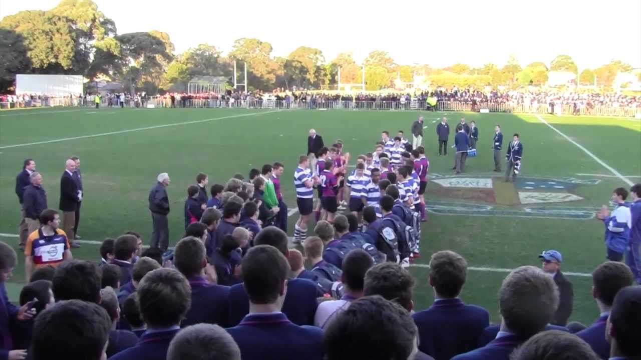 Joeys First XV Rugby - Hear the Roar!