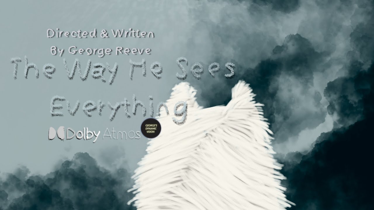Autism Short Film ( The Way He Sees EveryThing) (2025)