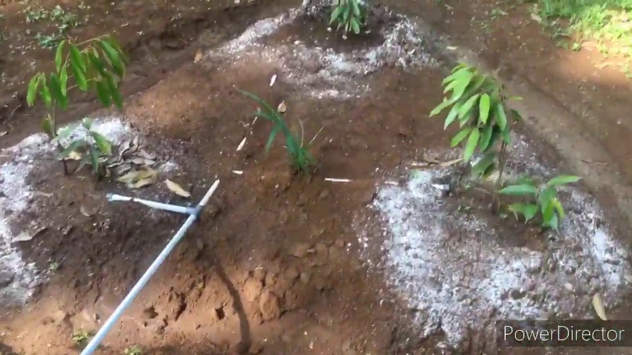 Alat pengganti Tandon dan Di Jamin Hemat Biaya, Otomatis menyiram sendiri, Automatic Water Timer