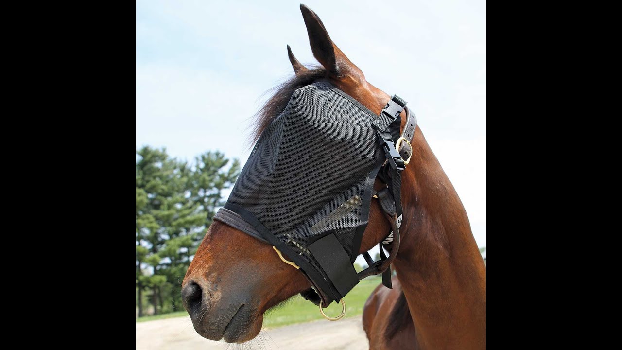 Equivisor Fly Mask
