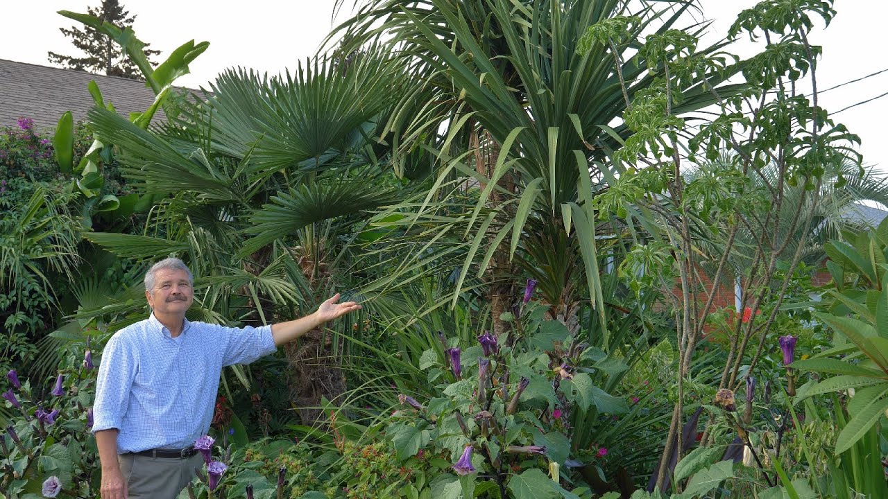 2023 Exotic Garden Canada Zone 5B Update Part 1