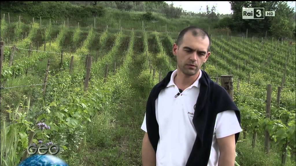 Geo&Geo - Montalcino e la mia bottega!!!!
