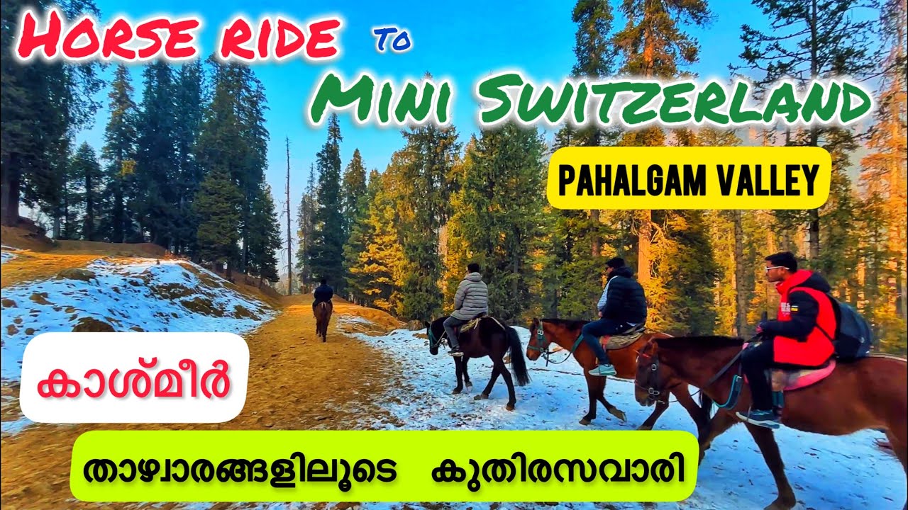 PAHALGHAM | KERALA-KASHMIR TRIP VLOG-3Exploring the valley of Kashmir|കാശ്മീർ താഴ്വാരങ്ങൾക്കിടയിലൂടെ