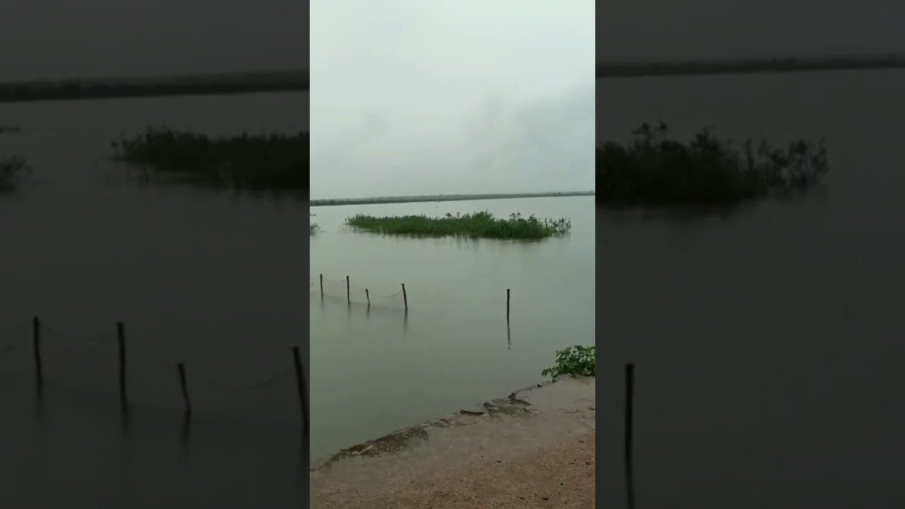 Kotapally kayaking Reservoir #lake #hills #adventure #viral