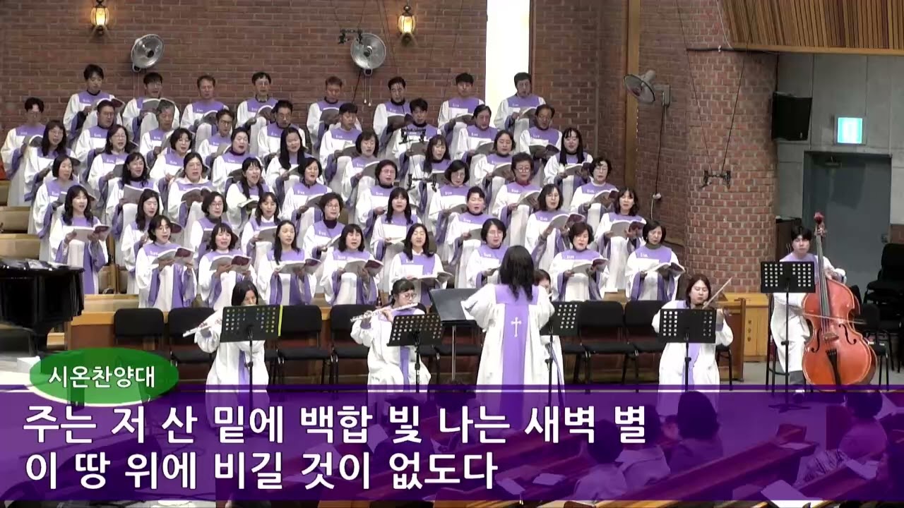 20260222 내 진정 사모하는(시온찬양대)