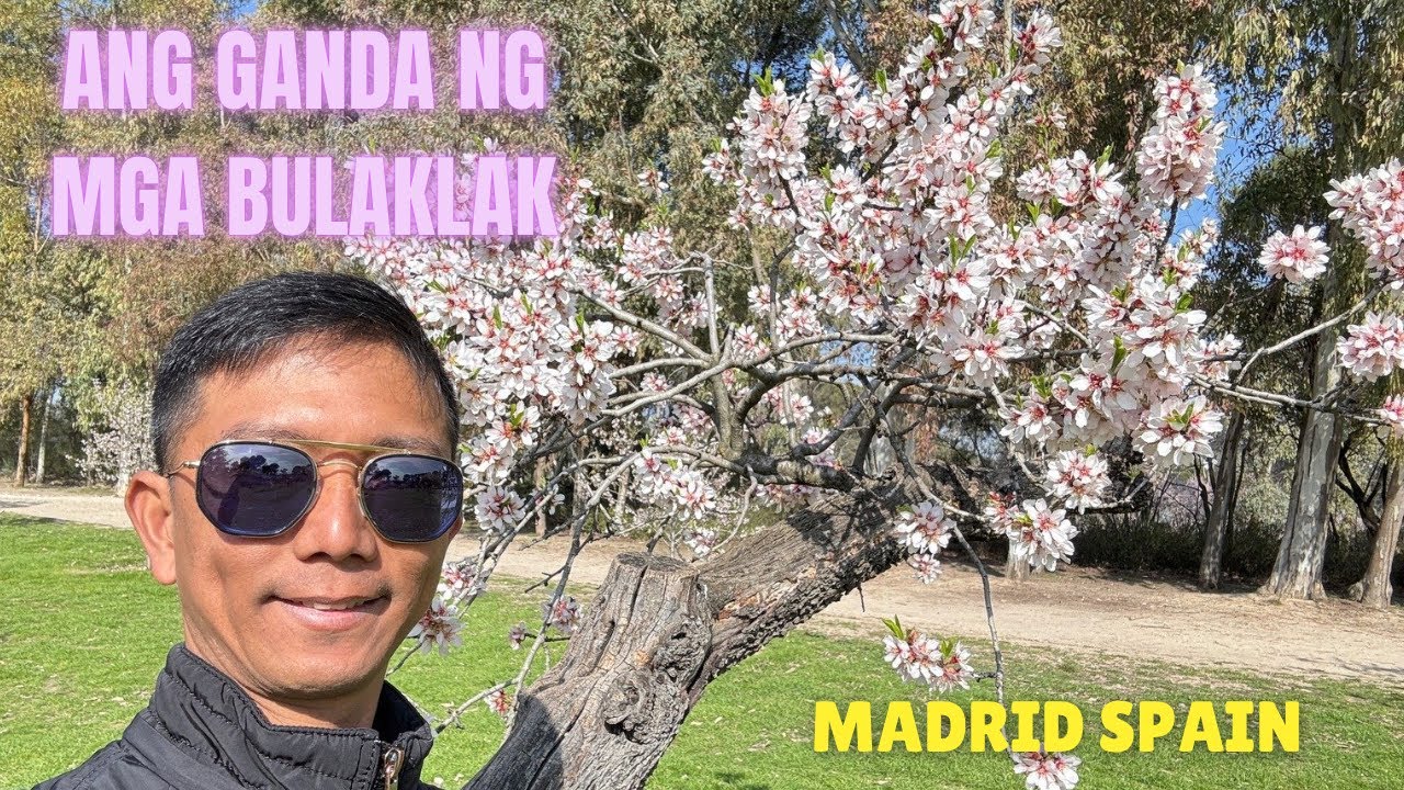 Parque de la Quinta De Los Molinos: Lugares Bonitos en Madrid España