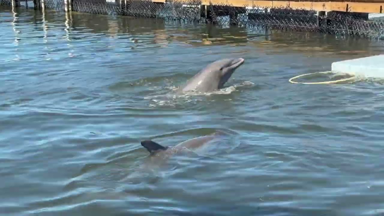 Моя первая поездка на Флоридские Кисы - сентябрь 2025 года