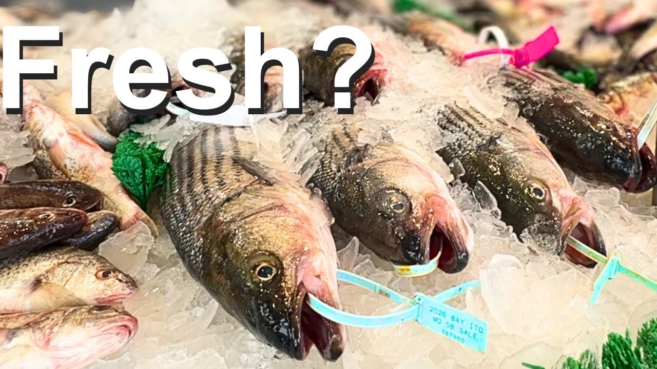 I Tried the Oldest Fish Market in America