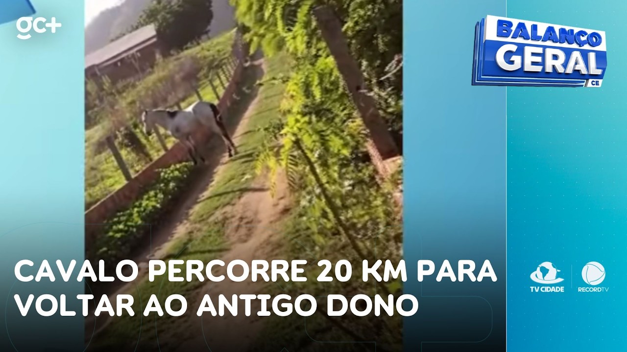 Cavalo percorre vinte quilômetros para voltar ao antigo dono, após ser vendido | Balanço Geral CE