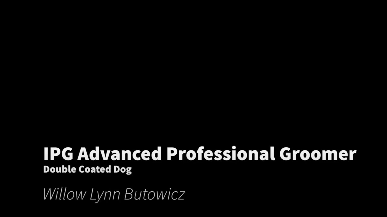 IPG APG Practical Exam - Double Coated Dog - Willow Lynn Butowicz - WITH DRYING