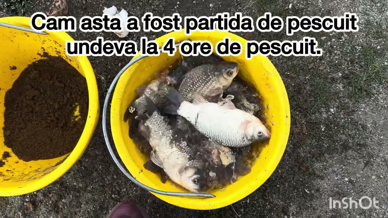 19 martie 2026 Pescuit la plută,pe Baltă Delta Neajlovului Branistari.Pescuit la Caras cu undița.
