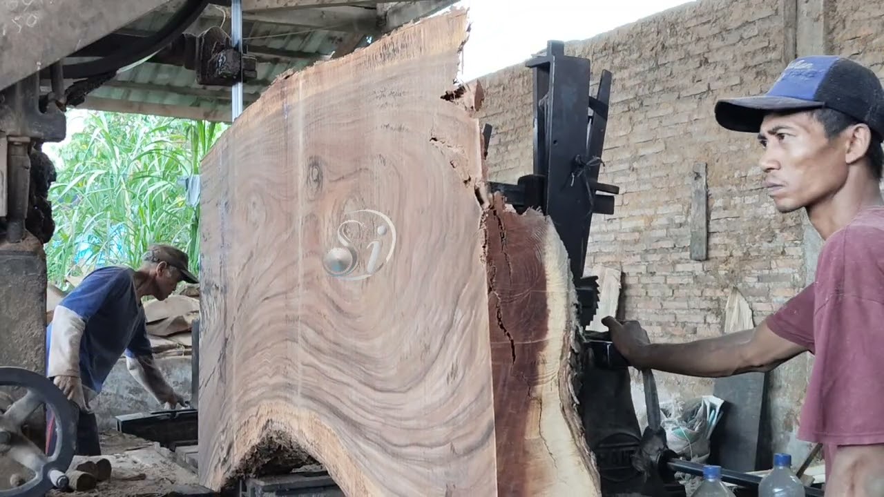Kayu ribuan tahun milik pedagang kaki lima bikin kaya mendadak | sawmill bandsaw
