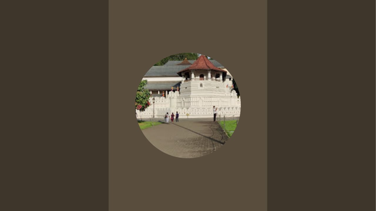 Dhamma talk at citta viveka