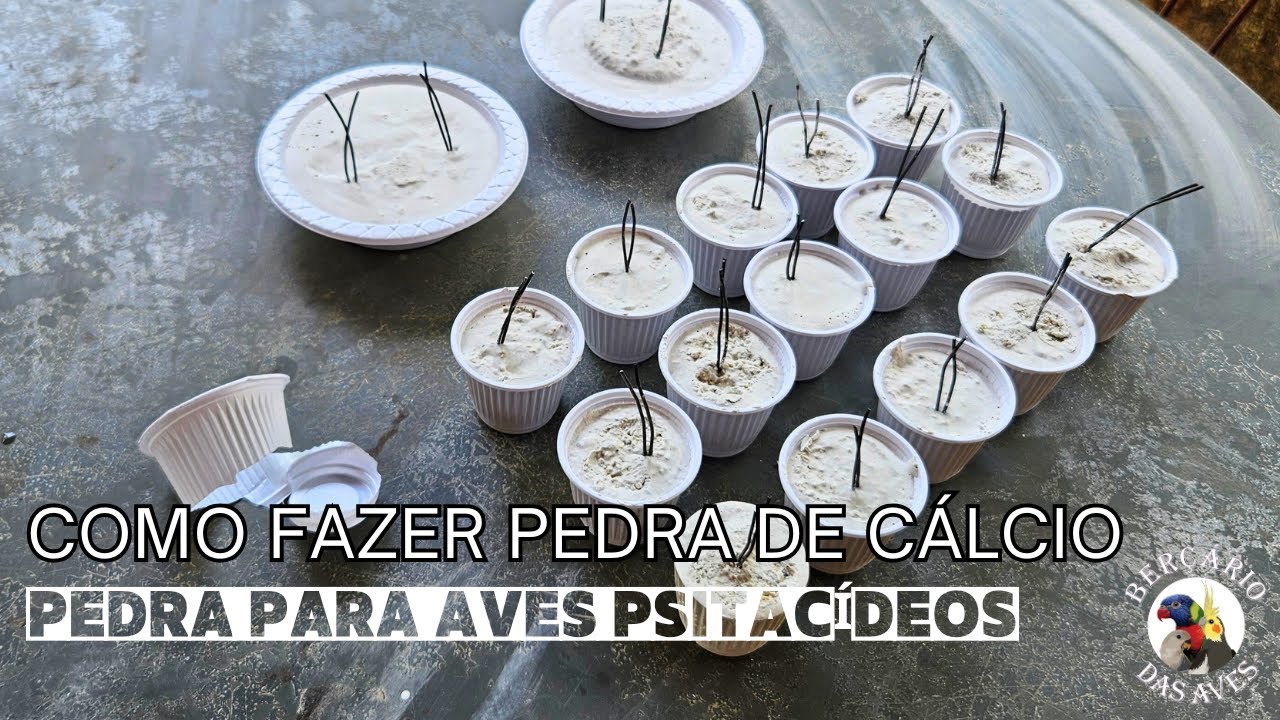 Como Fazer Pedra de Calcio Para Suas Aves em Casa