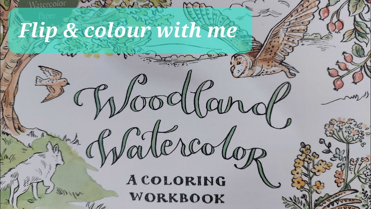 Full flip through and demonstration in Clare Therese Gray's '  Woodland Watercolour' Book