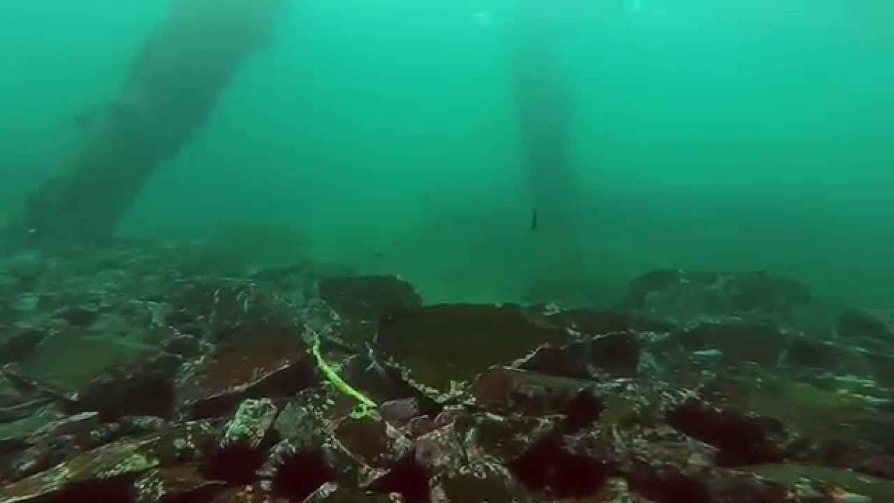 Bass Point - The Gravel Loader