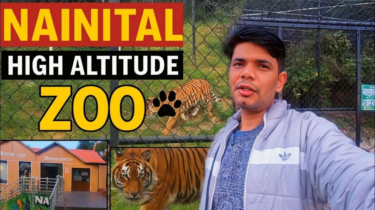 Nainital High Altitude Zoo 🐯 | Asia Ka Highest Zoo | Full Tour