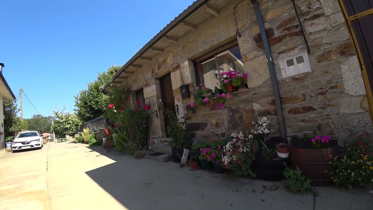 SAGALLOS - SIERRA DE LA CULEBRA
