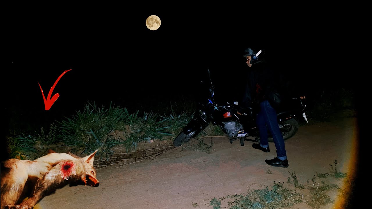 BATI COM A MOTO NO LOBISOMEM, NAO DEU PRA VER (folclore brasileiro)🌕🐺