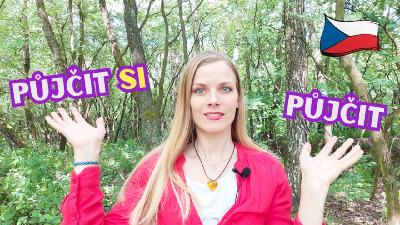 When Adding SE or SI to Czech Verbs Makes a Difference