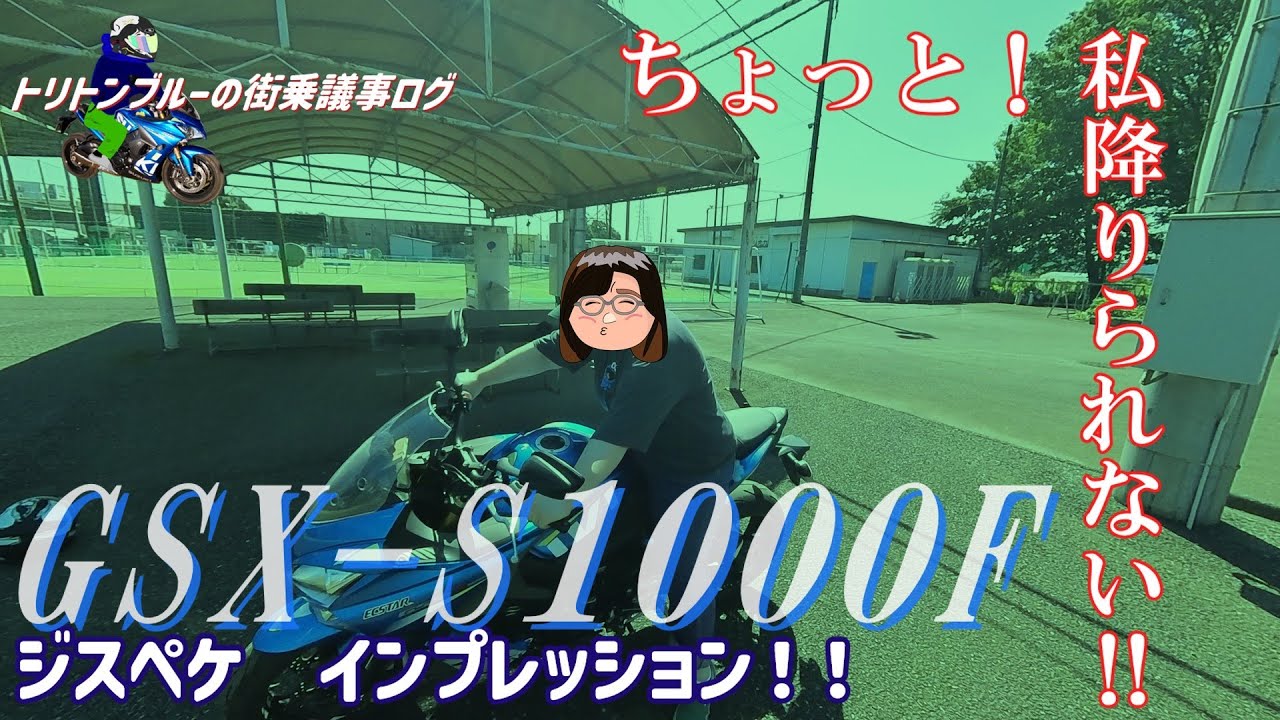 【GSX‐S1000F】自分のバイクをインプレしたい旦那と、バイク素人な嫁の図【トリトンブルーの街乗議事ログ】(10ページ目)