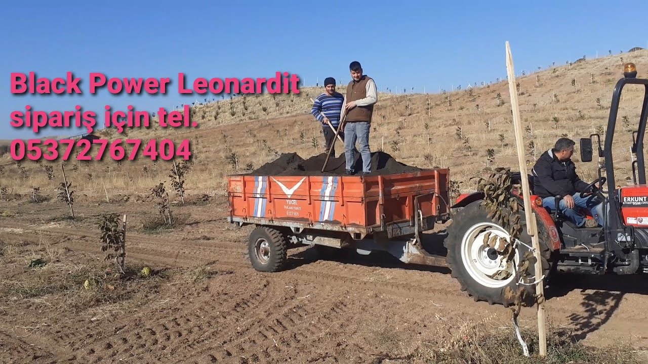 85- Leonardit uygulama, Chandler Ceviz Bahcesinde Sonbahar bakımı, Leonardit sipariş tel.05372767404