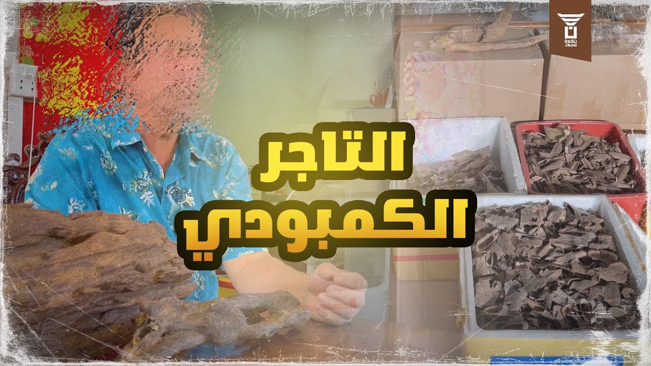 لقاء مع التاجر الكمبودي وحديثه عن العود الكمبودي الطبيعي والمستزرع