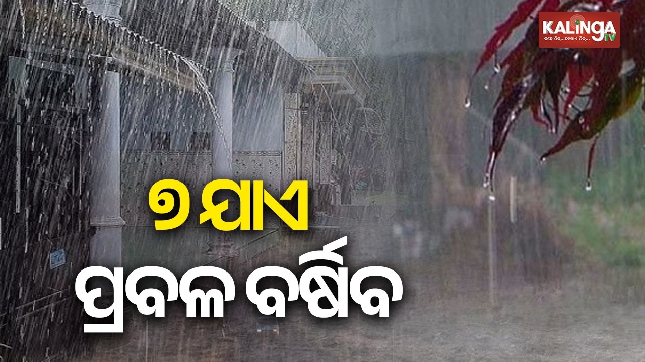IMD Warns of Heavy Rainfall, Puts Four Districts on Red Alert and Nine on Orange Alert | Kalinga TV