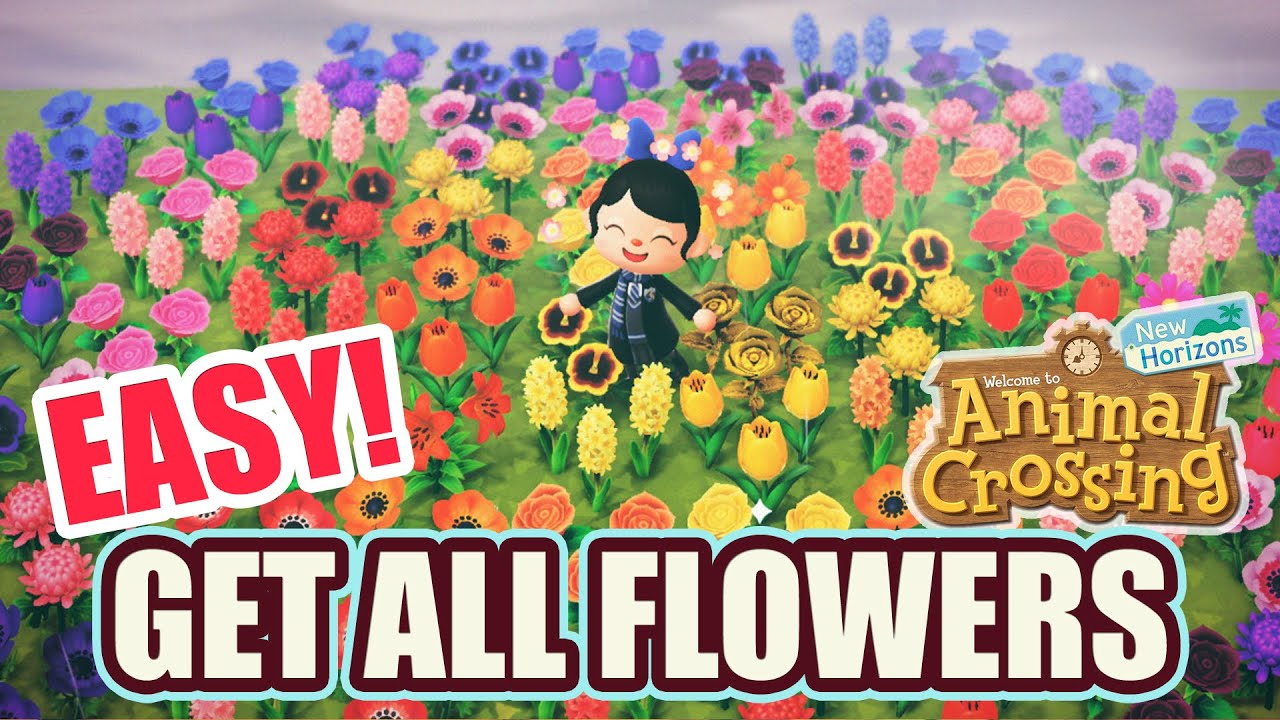 How to: Get ALL HYBRID FLOWERS EASILY in Animal Crossing New Horizons