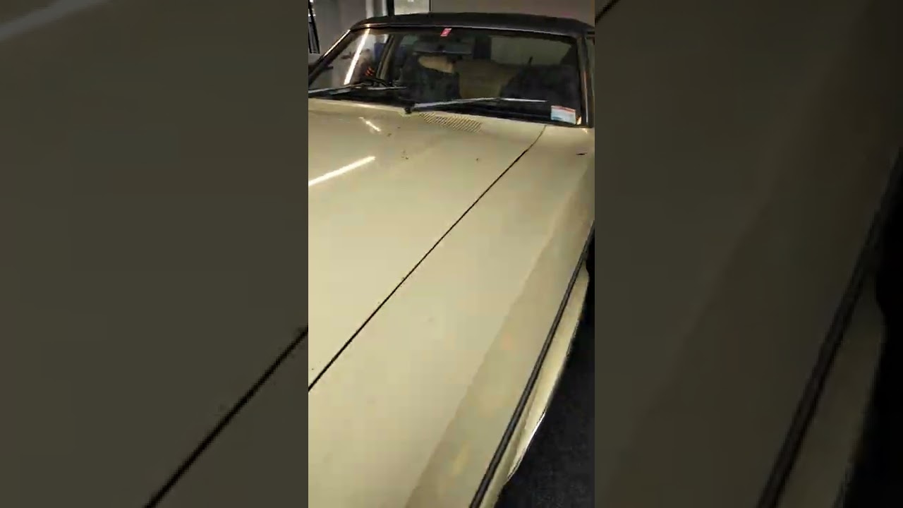 ZH Fairlane 351 walk and talk