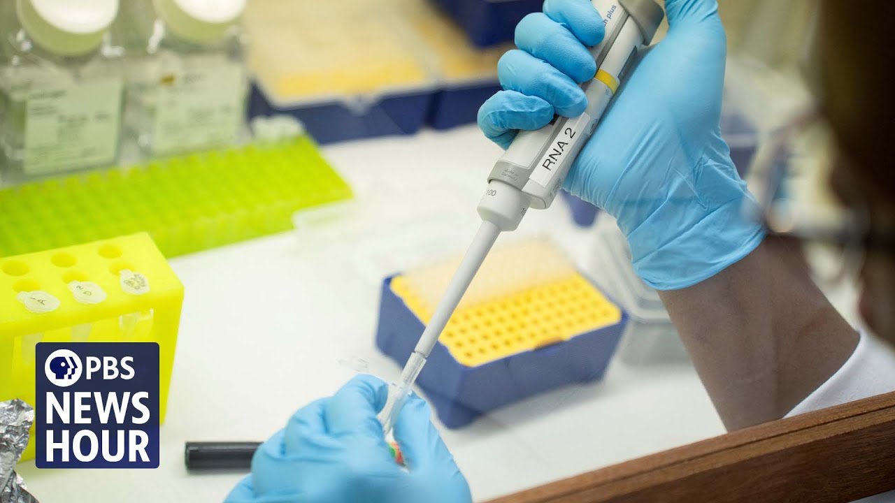 Scientists sound alarm on Trump administration's dismantling of research funding