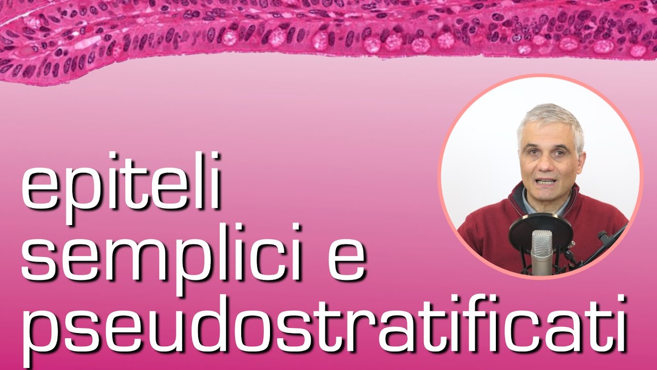 Epiteli semplici e pseudostratificati