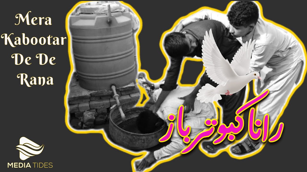 haryanvi Comedy | haryanvi comedy haryanavi 2019 | funny video Haryanavi 2018 |  | Media Tides