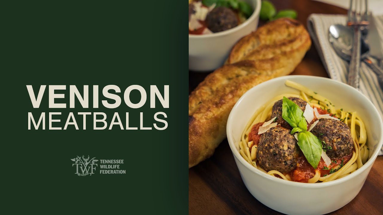 Cooking Wild Game: Spaghetti and Venison Meatballs
