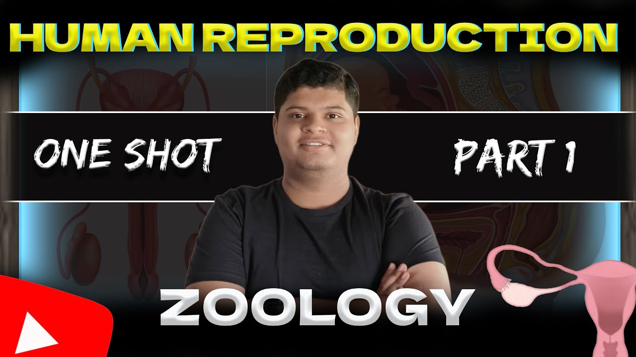 HUMAN REPRODUCTION - ONE SHOT  | Class 12th Biology | All concepts and PYQ'S of PAST 20 YRS COVERED