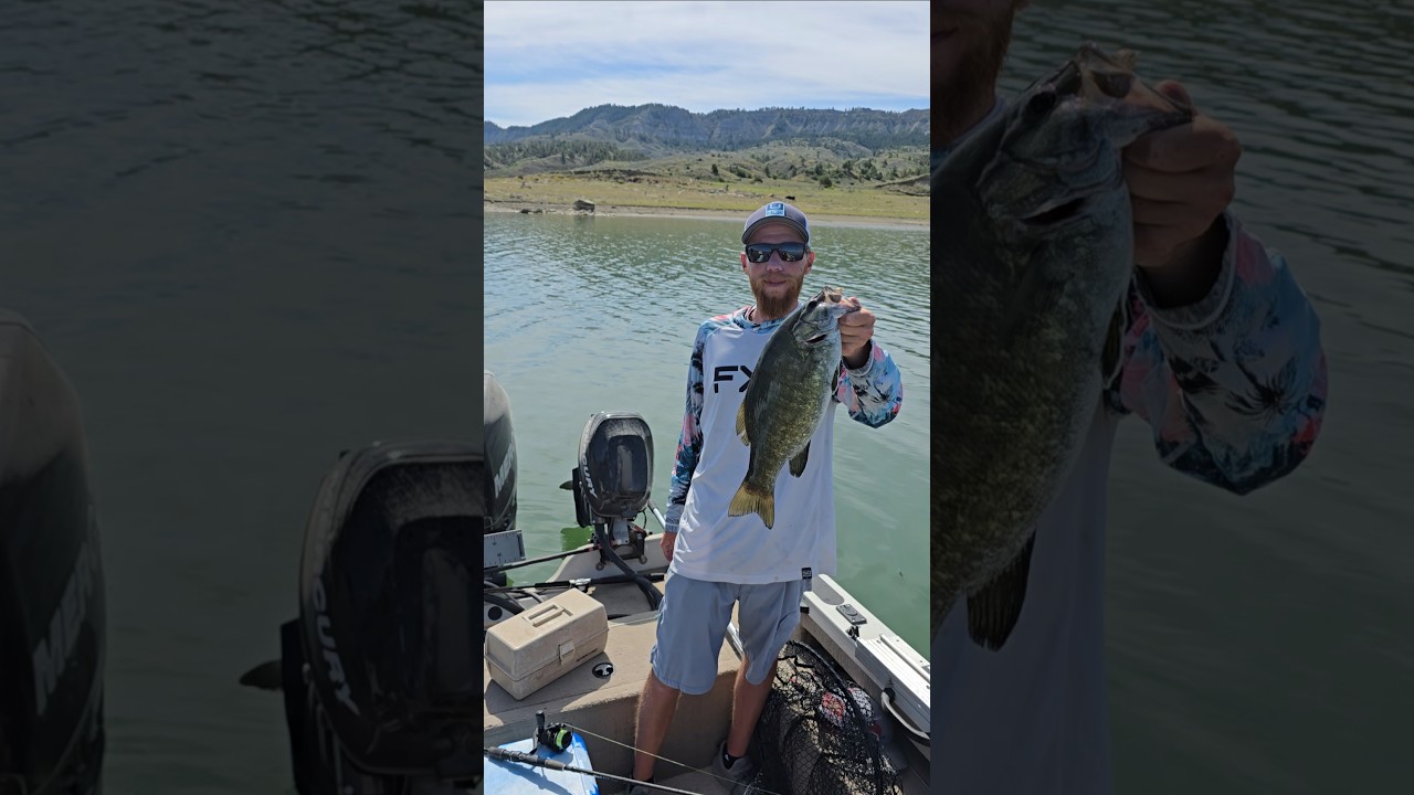 Fish Head Assassin #fishing nice battle on the smallmouth bass #smallmouthbass