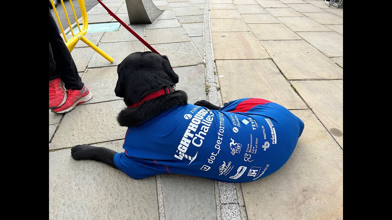 IOM Lighthouse Challenge 2022