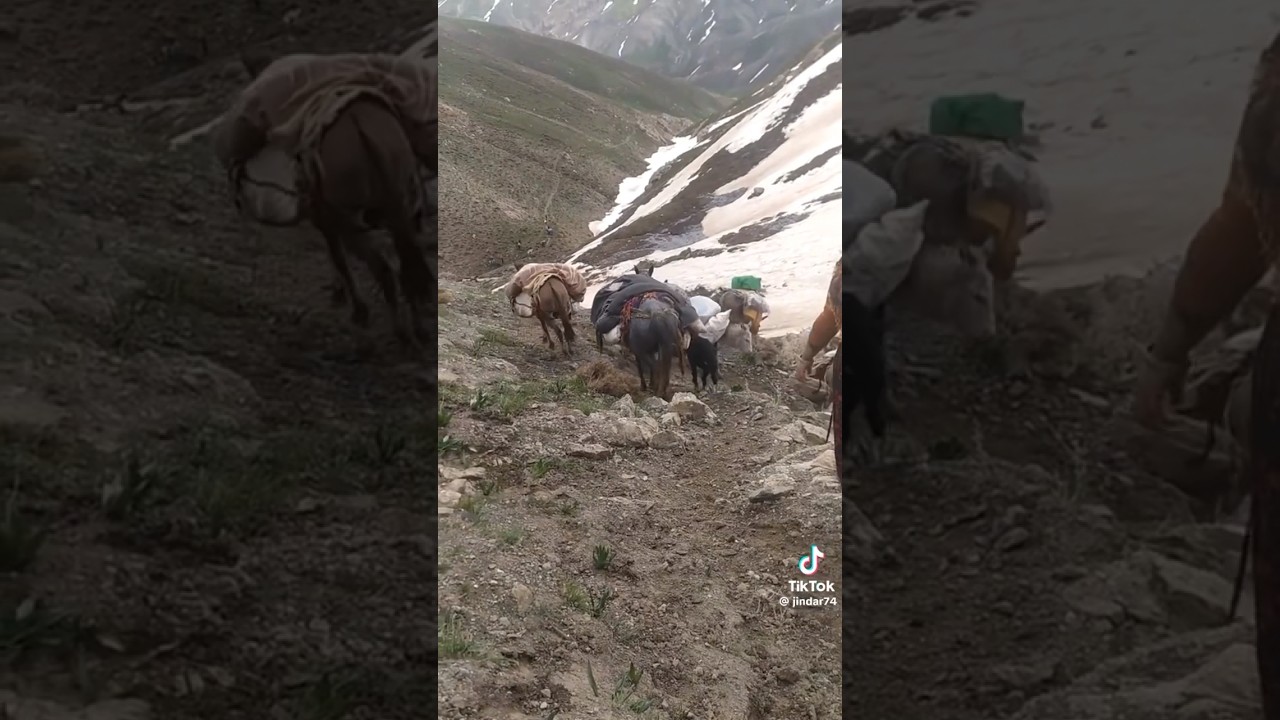 🫶🏔Plateau Life 🏔 Yayla Hayatı 🏔