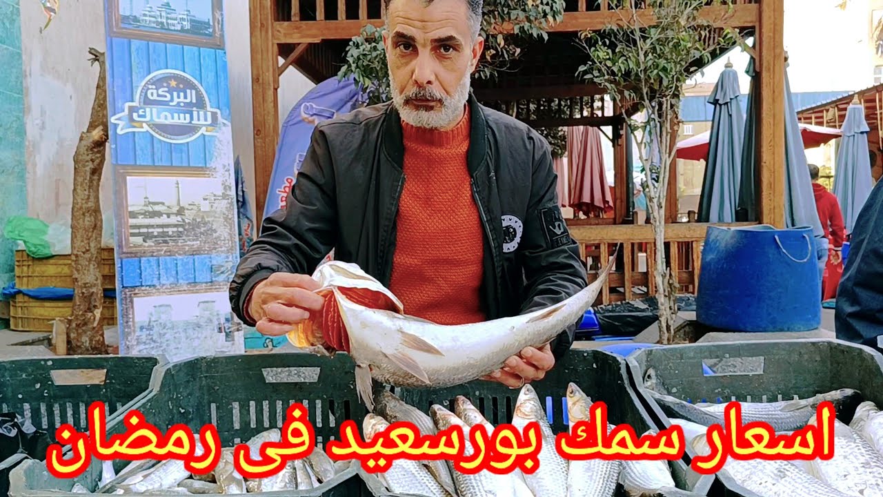 اسعار سمك بورسعيد فى رمضان🐬من سوق سمك بورسعيد الجديد port said egypt