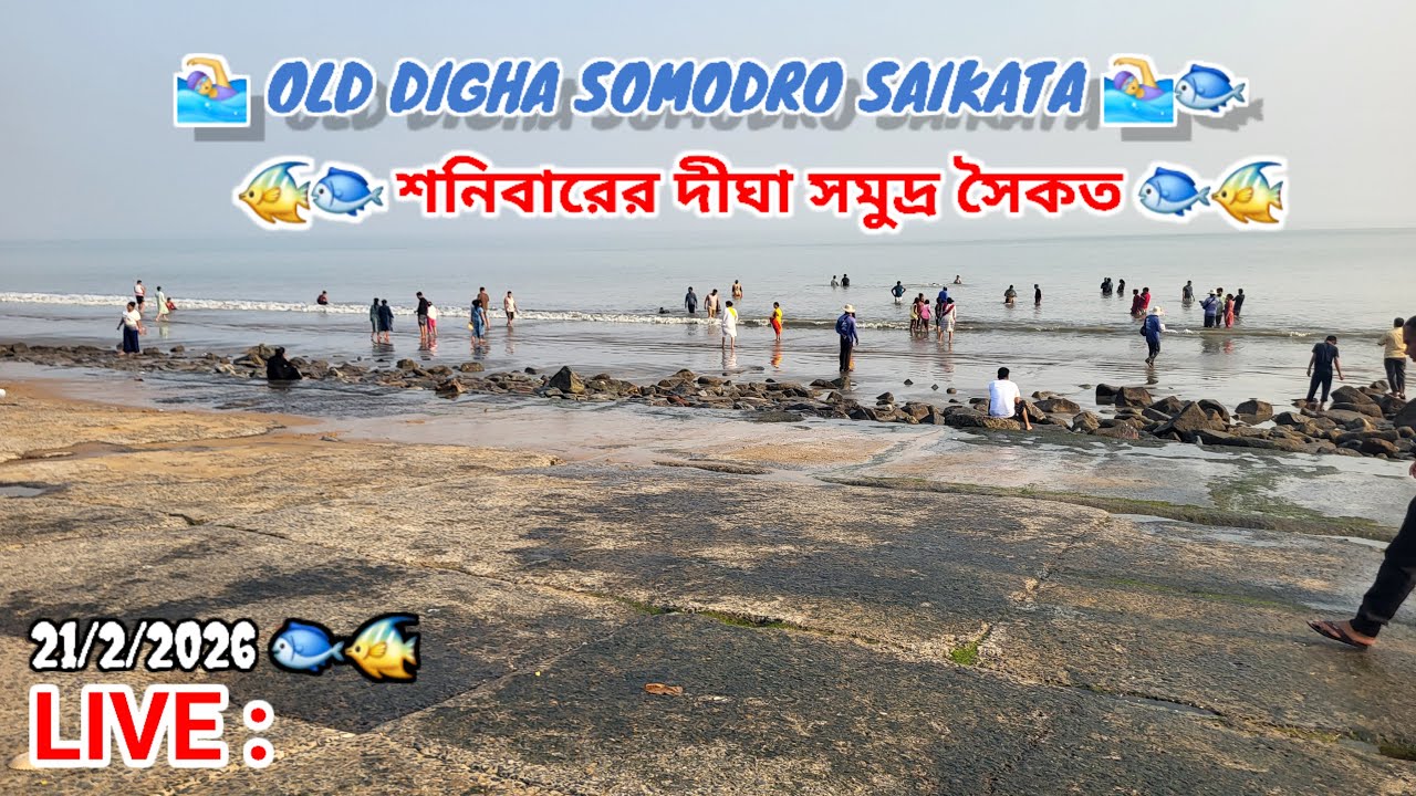 live আজকের ওল্ড দীঘা সমুদ্র সৈকতের live updates 🐟 শনিবারে দীঘা live 🐟 #digha #dighalive