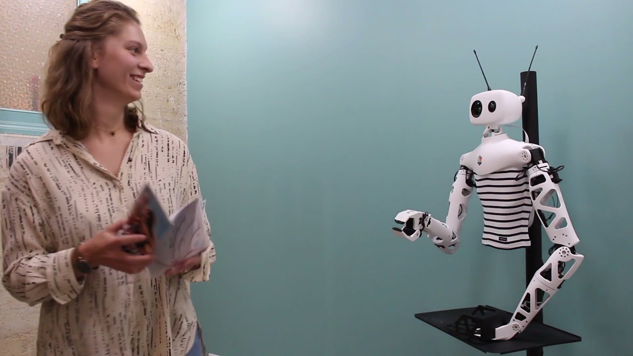 Reachy Robot