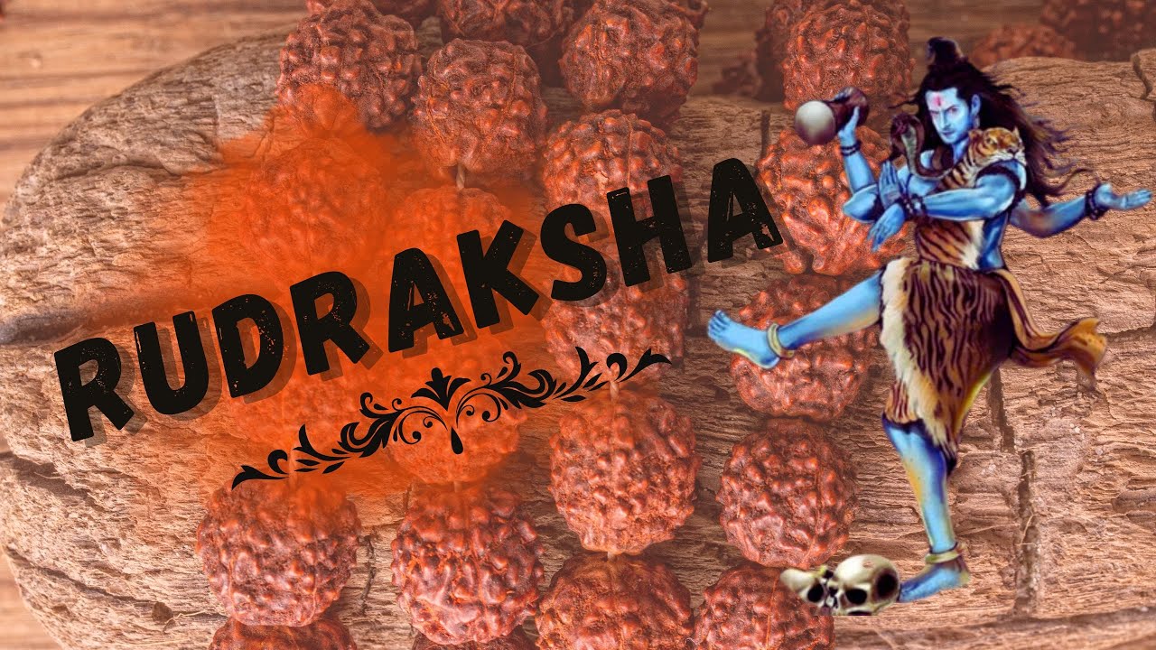A Rudraksha eredete, használata és feltöltése