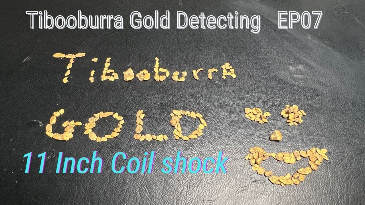 Gpx 6000 factory 11 inch vs Coilteck10x5 on Tibooburra gold
