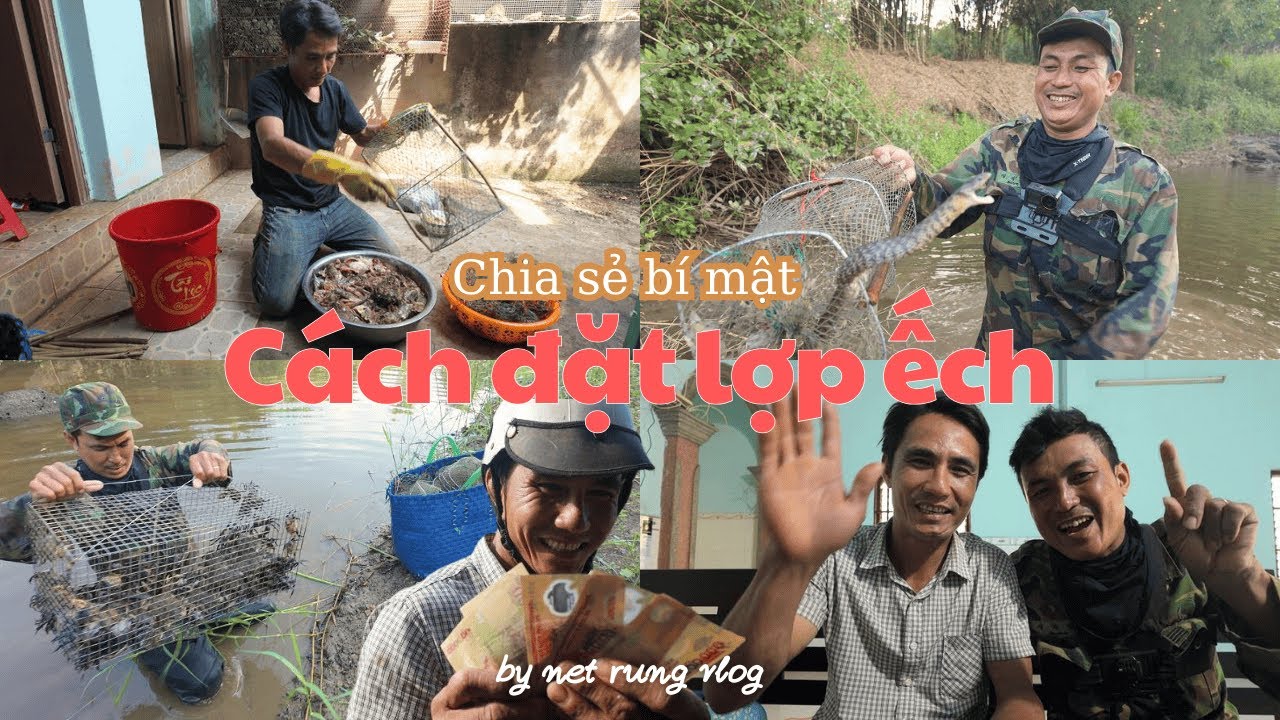 Hướng Dẫn Cách Làm Mồi Bẫy Ếch Bao Dính & 24H Cùng @DUOCDSBR Thực Hành Bội Thu Ếch, Cua. #19