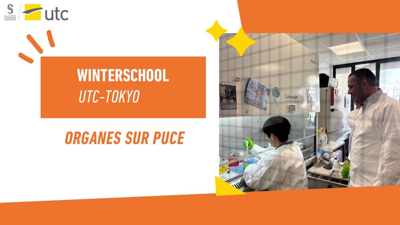 WinterSchool UTC-université de Tokyo : « Organes sur puce » 🔬