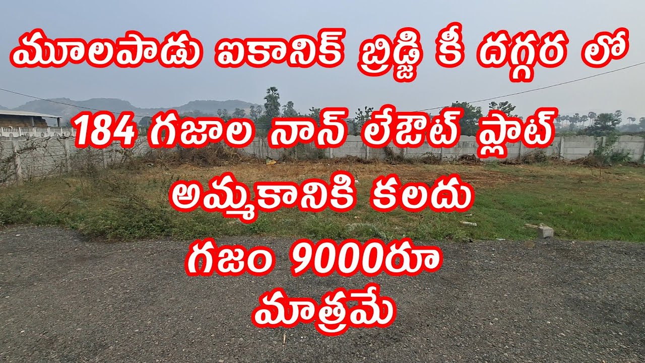 Open plots @Mulapadu||Amaravathi ||Apcrda ||Vijayawada ||iconic bridge||9704054552||