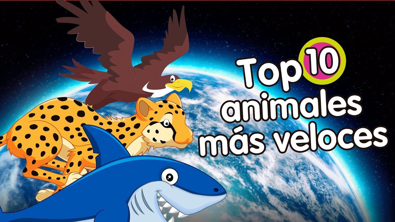 10 animales mas veloces de la tierra