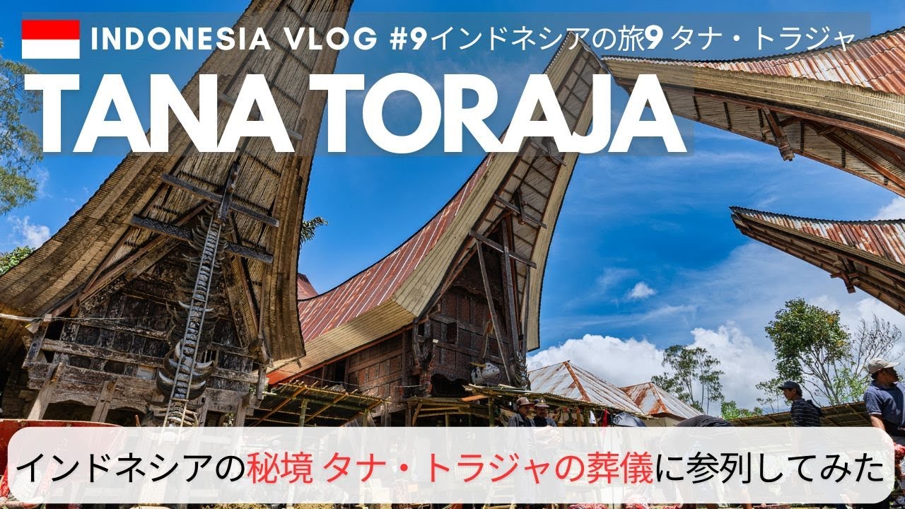【インドネシア旅】秘境タナ・トラジャのお葬式に度肝を抜かれた‼︎ Indonesia Tana Toraja Travel Vlog