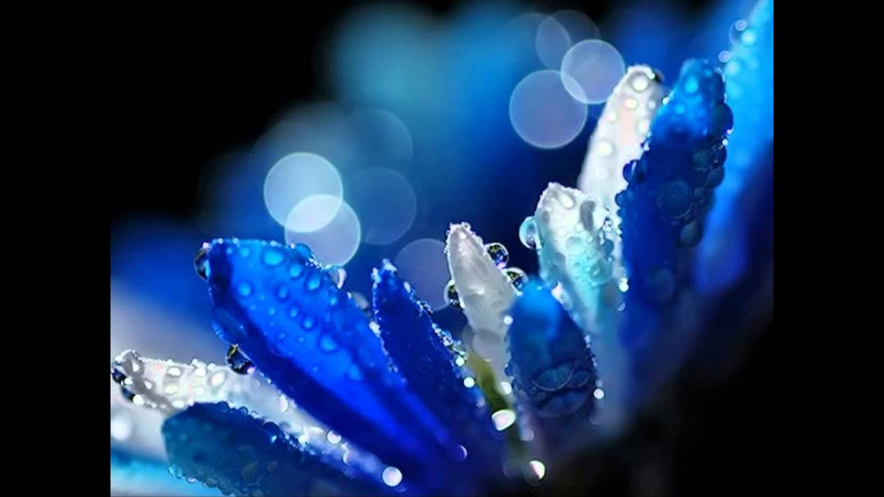 Bee Gees - Miracles Happen - Bee Gees